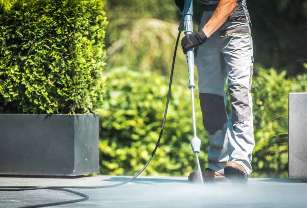 Best Animal Enclosure Cleaning  in Bronx, NY